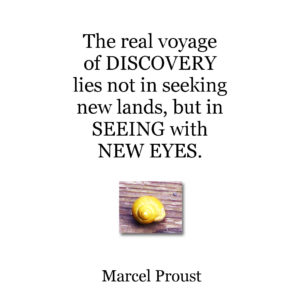 marcel proust author quote