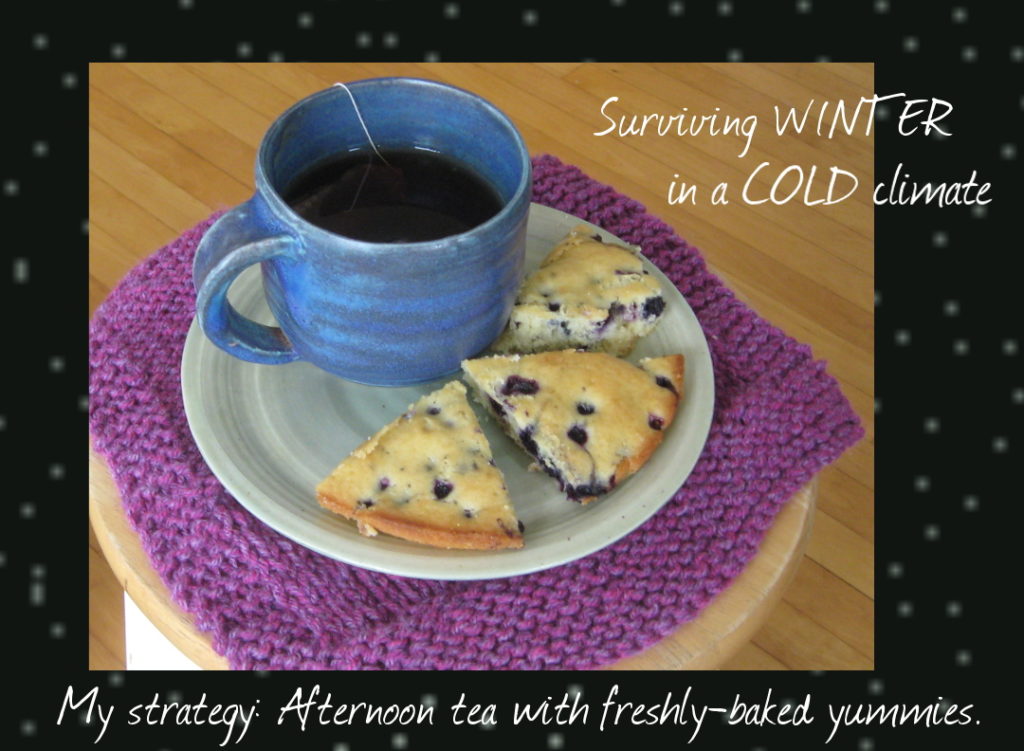 teatime with homemade blueberry cake linked to recipe from Surviving Winter by Linn Chapel