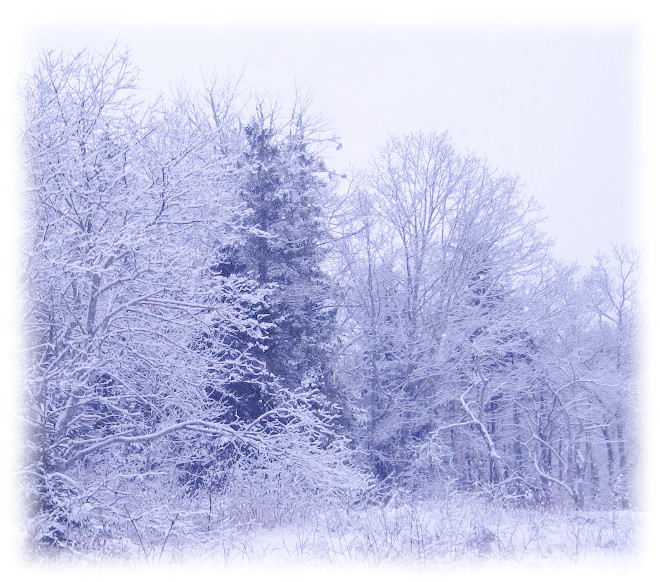 Snowy winter scene from Surviving winter by Linn Chapel