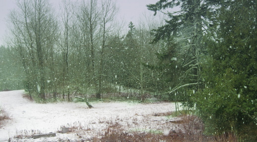 April Snow Scene in My Coastal New England Meadow - blog post of Linn Chapel Romance Author
