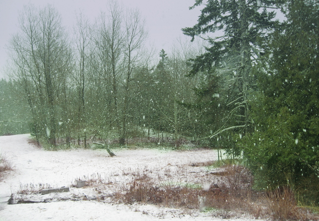 April Snow Scene in My Coastal New England Meadow - blog post of Linn Chapel Romance Author