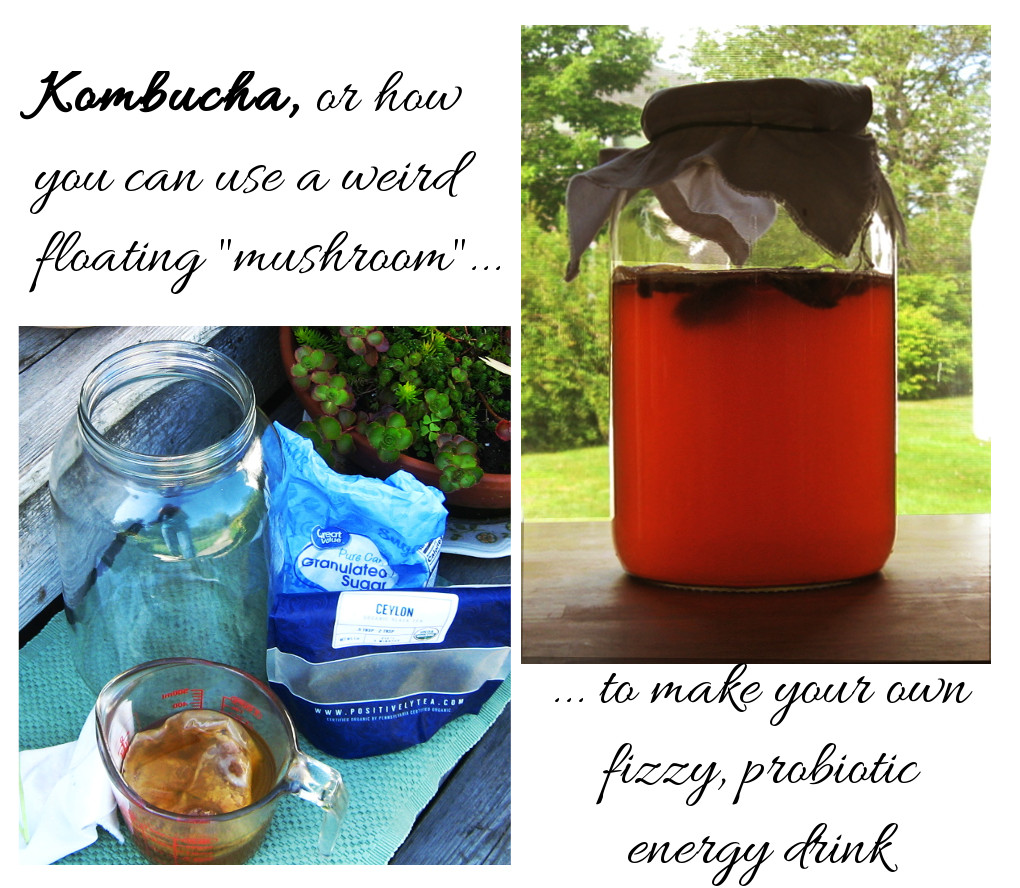 Kombucha supplies pictured along with finish jar of probiotic healthy drink